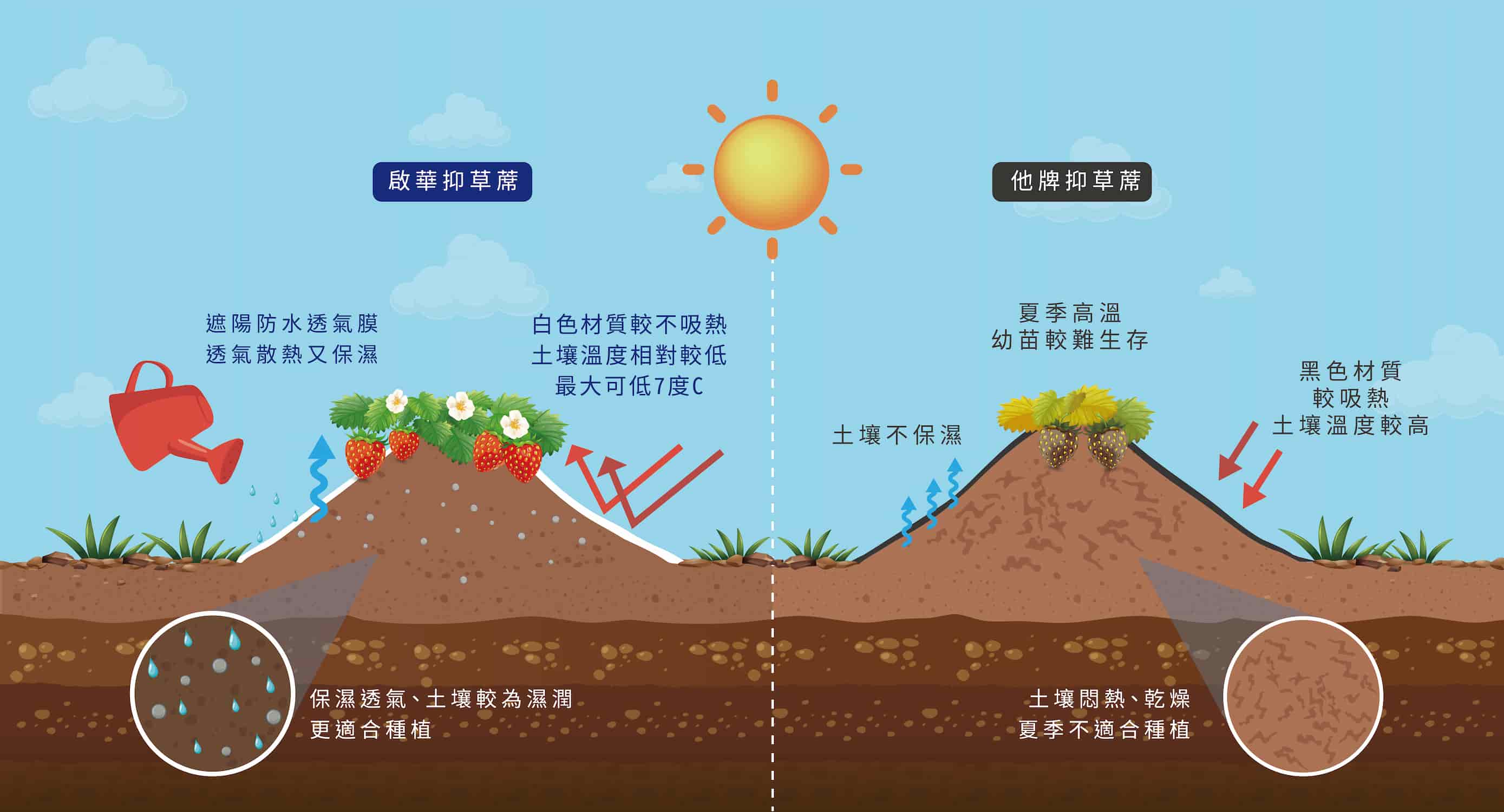 啟華抑草蓆